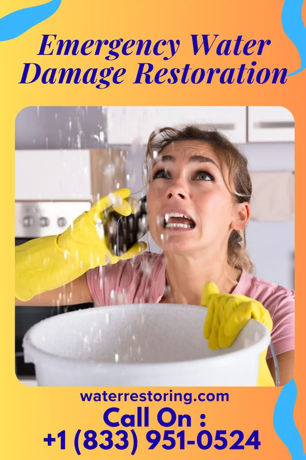 Emergency Water Damage Restoration in Greenwood, WI