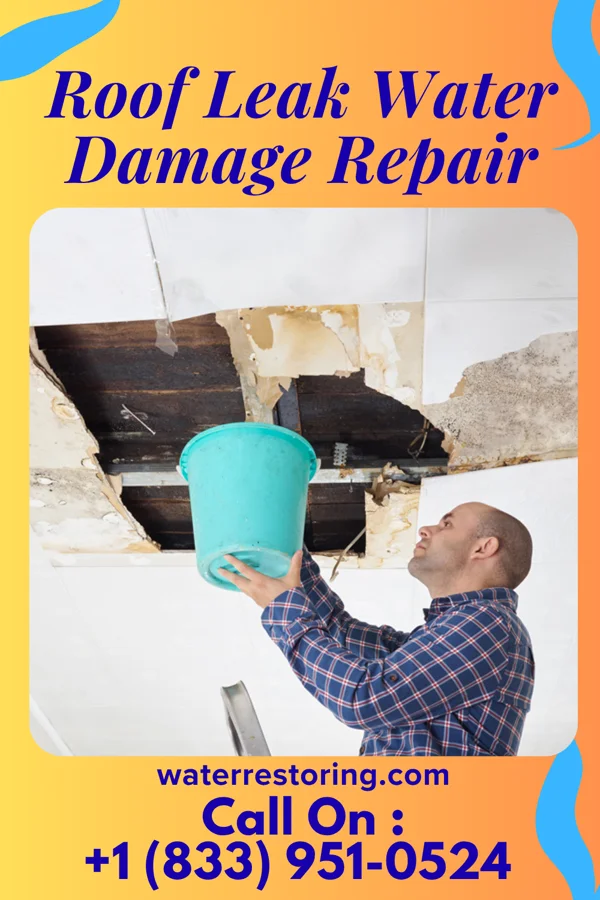 Roof Leak Water Damage Repair in Greenwood, WI